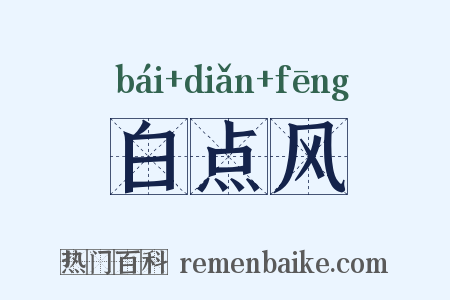 白点风是什么意思的图片